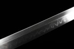 Night Dragon Katana Sword