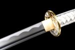 Bushin Katana Sword (武心) - Martial Spirit