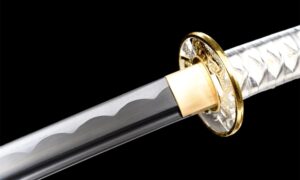 Bushin Katana Sword (武心) - Martial Spirit