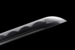 Bushin Katana Sword (武心) - Martial Spirit