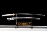 Bushin Katana Sword (武心) - Martial Spirit
