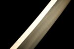 Golden Blade Katana Sword