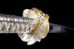 Nureha Katana Sword (濡葉) - Wet Leaves