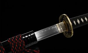 Tenshin Katana Sword (天心) - Heavenly Heart