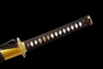Ōgonryū Katana Sword (黄金龍) – Golden Dragon