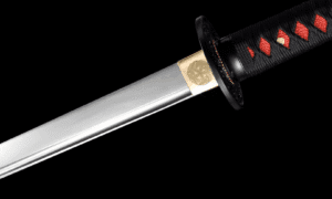 Ryūkage Ninjato (龍影) – Dragon Shadow